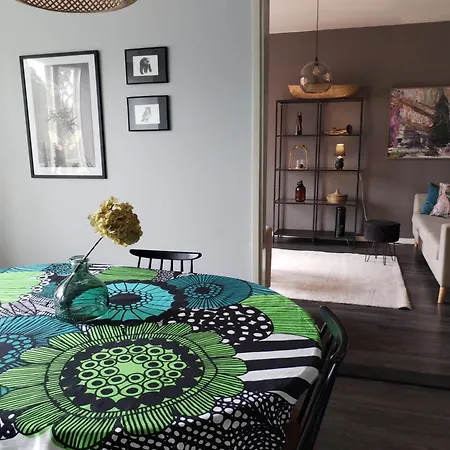 Apartmán Iso Koskien Ja Palveluiden Aeaerellae Varkaus