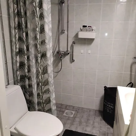 Iso Koskien Ja Palveluiden Aeaerellae *