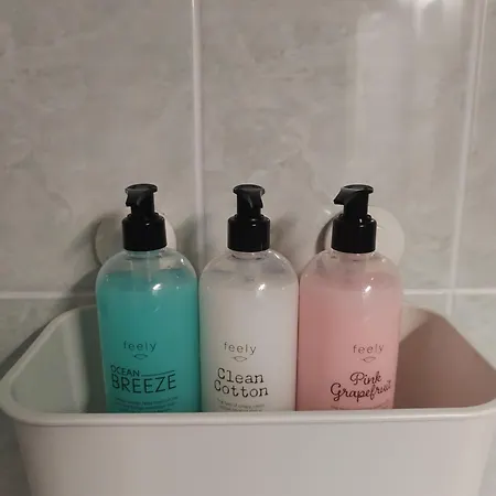 Iso Koskien Ja Palveluiden Aeaerellae