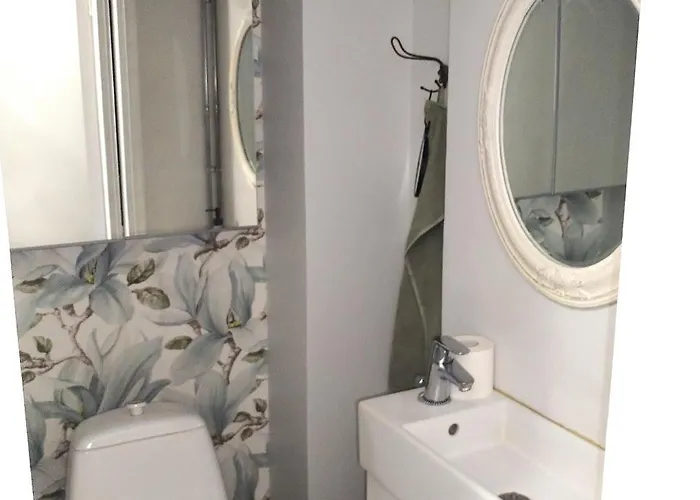 Appartement Iso Koskien Ja Palveluiden Aeaerellae Varkaus