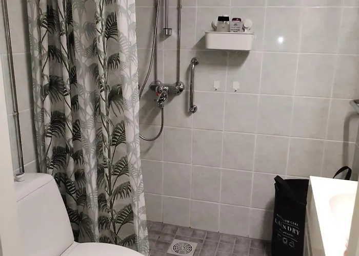 Iso Koskien Ja Palveluiden Aeaerellae *