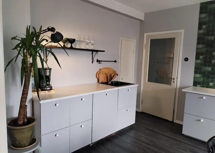 Iso Koskien Ja Palveluiden Aeaerellae Appartement